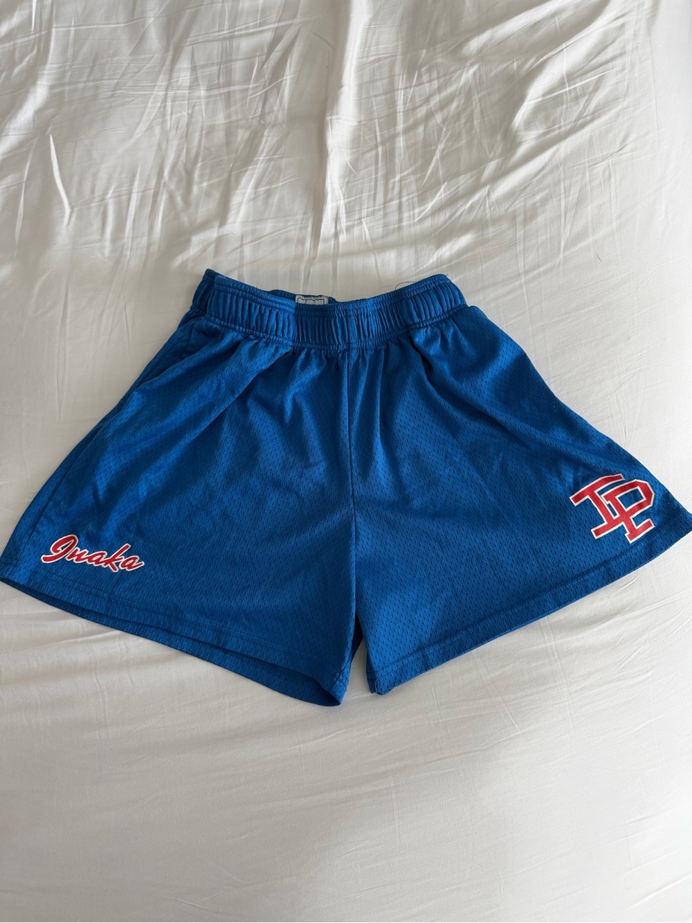 Inaka Power Men’s Athletic Shorts in Royal Blue